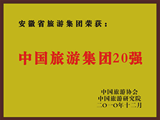 2010年度中国小勐拉99厅集团20强