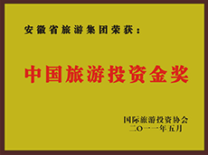 2011年度中国小勐拉99厅投资金奖