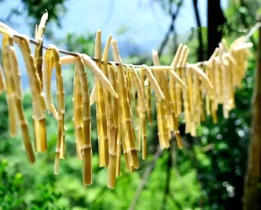 吃春笋，，，，，，不可辜负的至鲜皖味