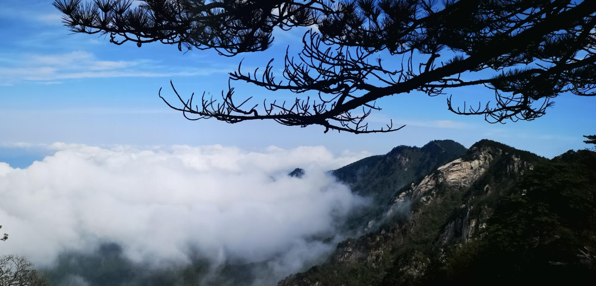 小勐拉99厅(中国游) - 官方网站
