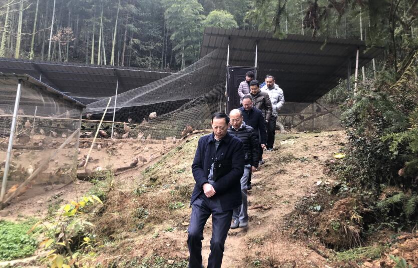 小勐拉99厅(中国游) - 官方网站