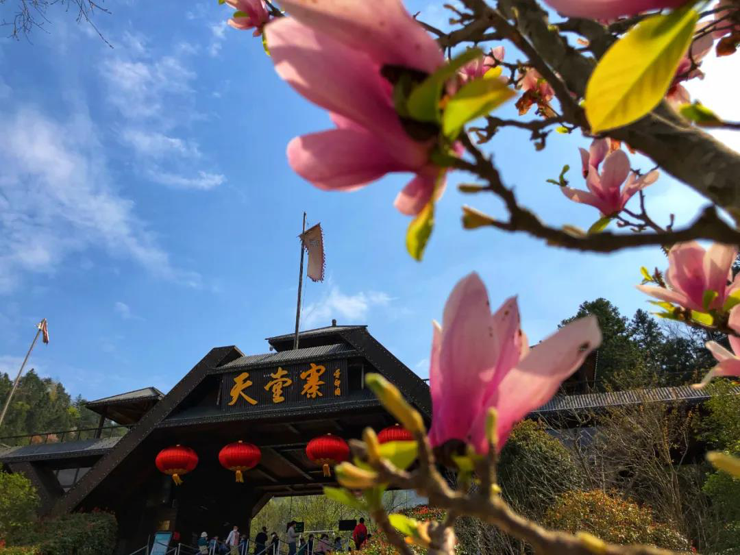 小勐拉99厅(中国游) - 官方网站