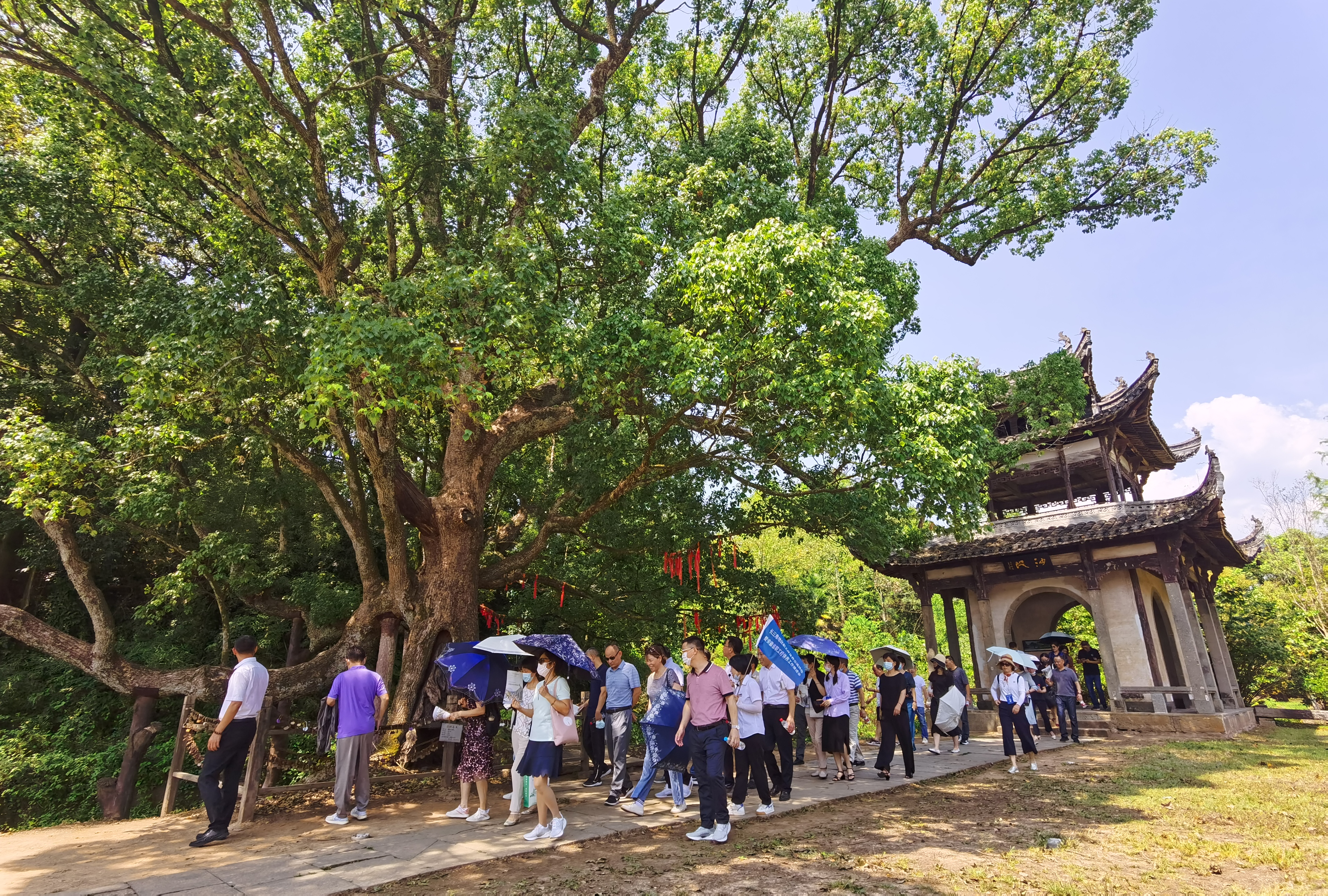 小勐拉99厅(中国游) - 官方网站