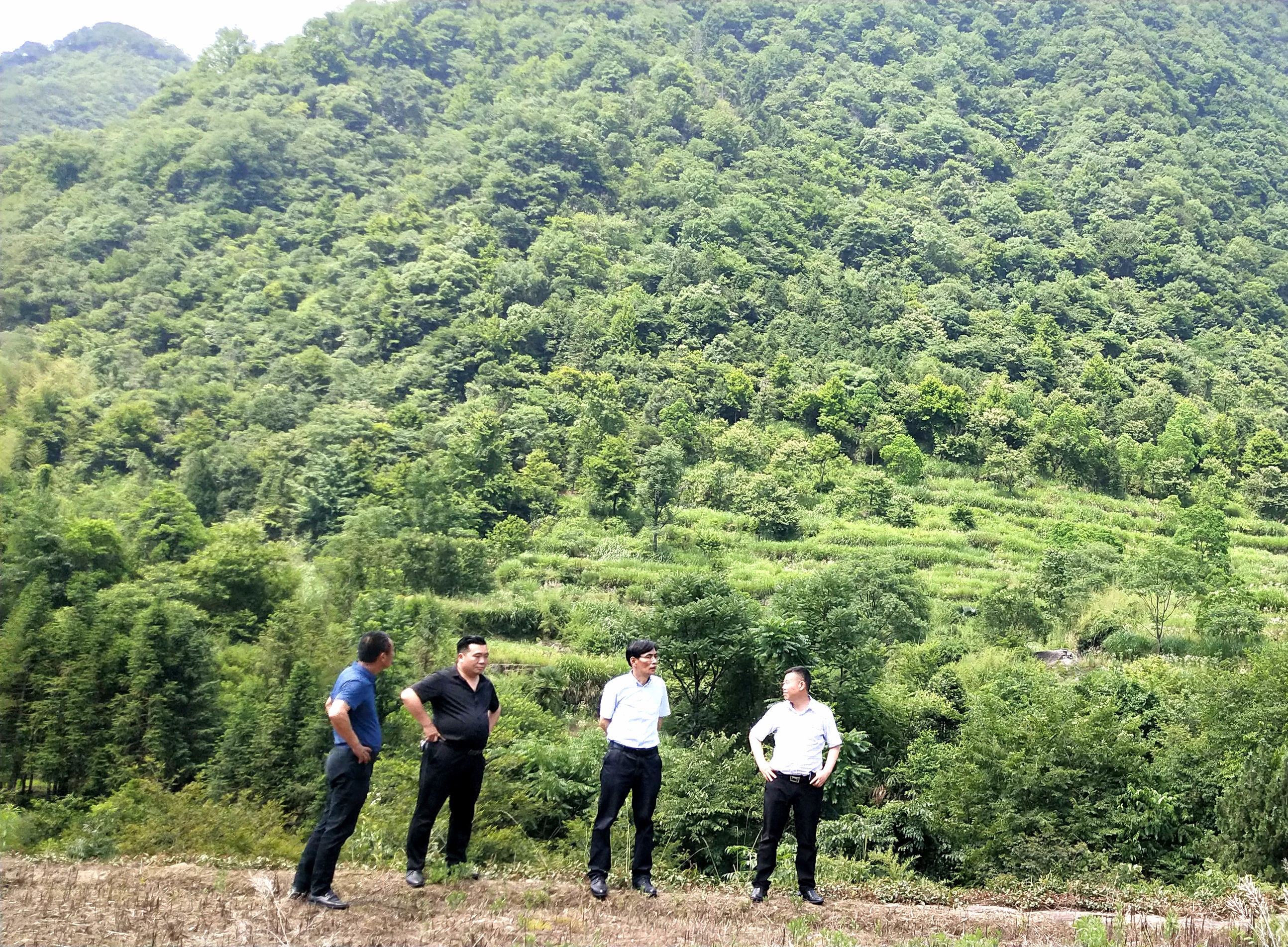 小勐拉99厅(中国游) - 官方网站