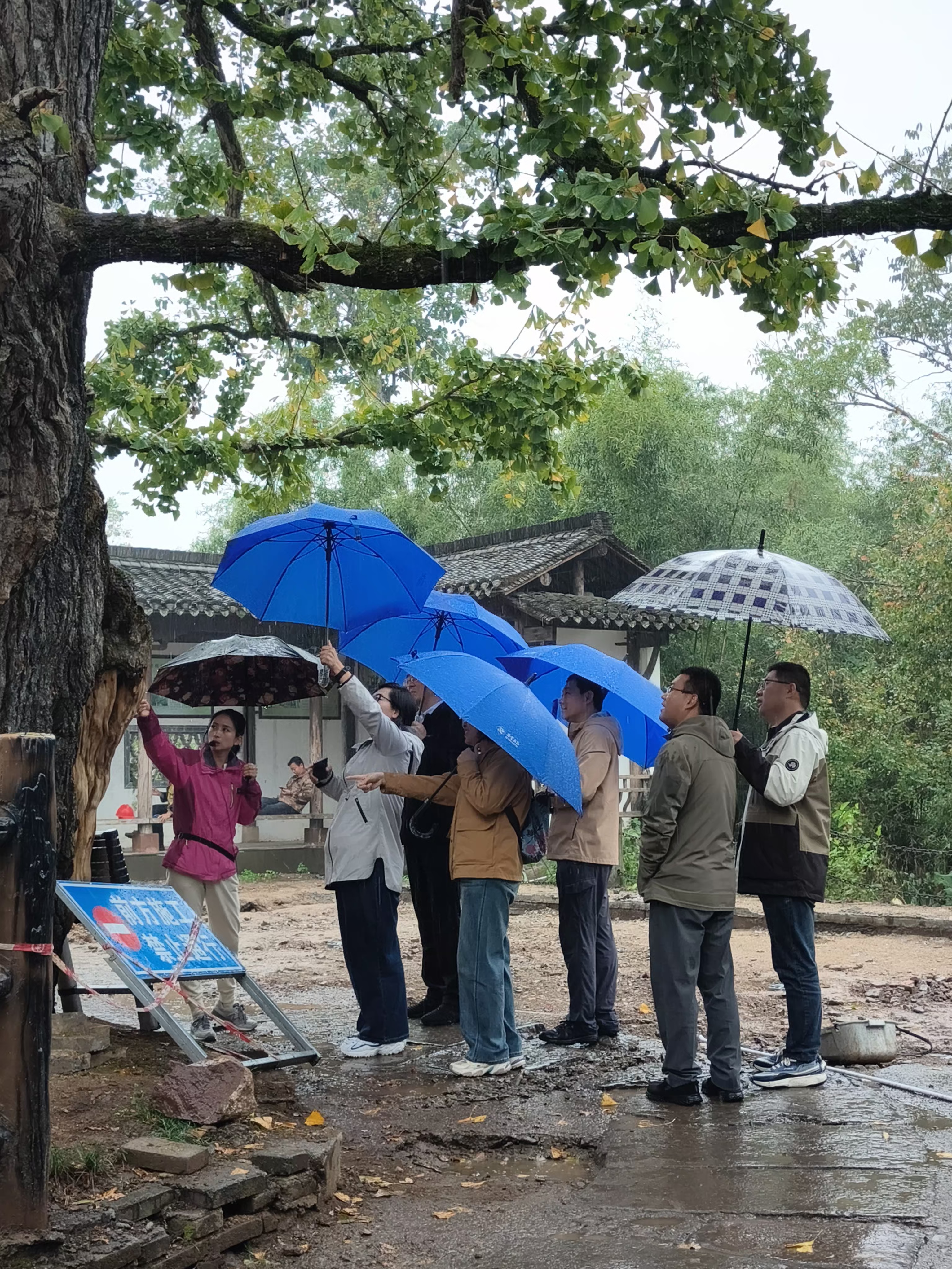 小勐拉99厅(中国游) - 官方网站