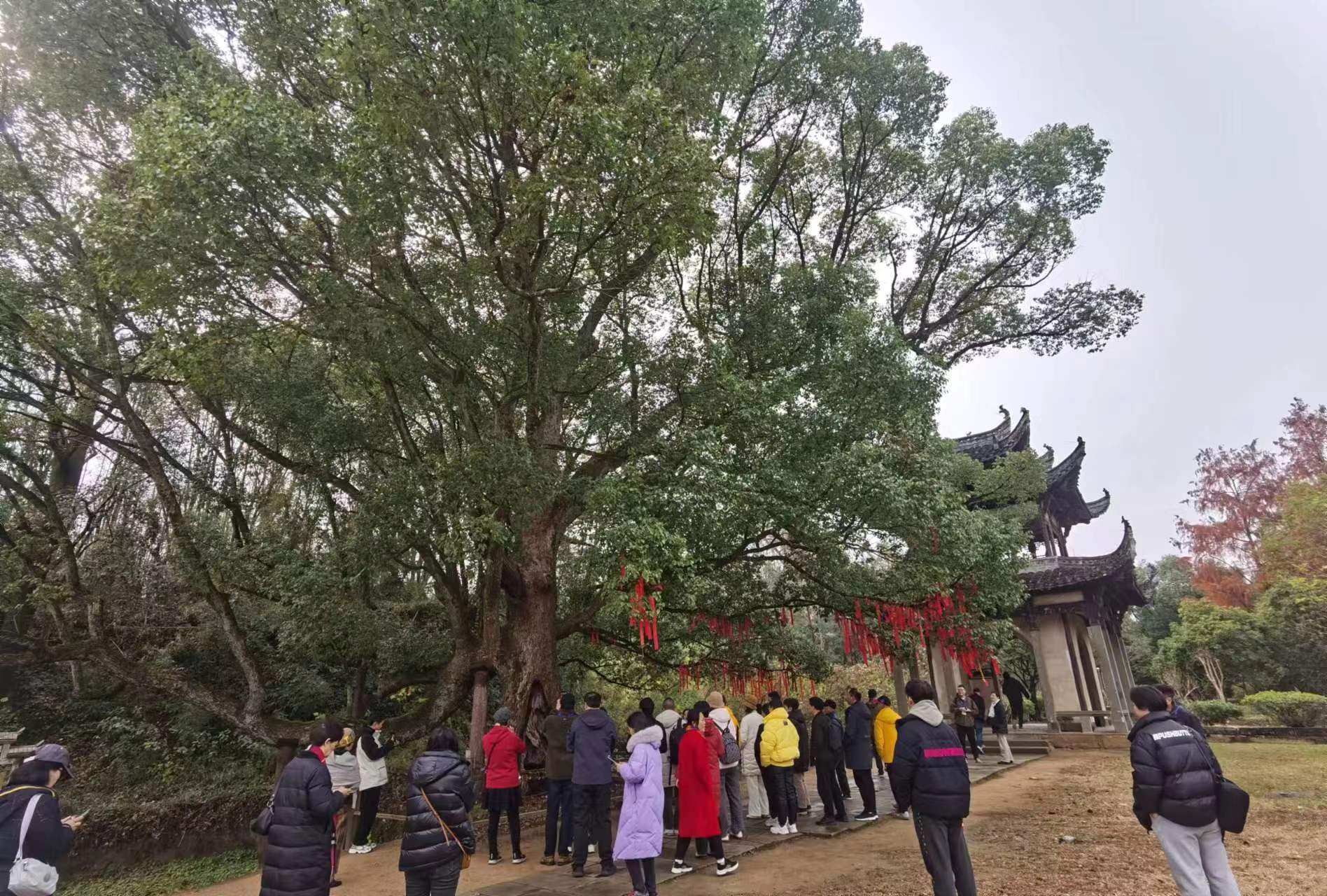 小勐拉99厅(中国游) - 官方网站