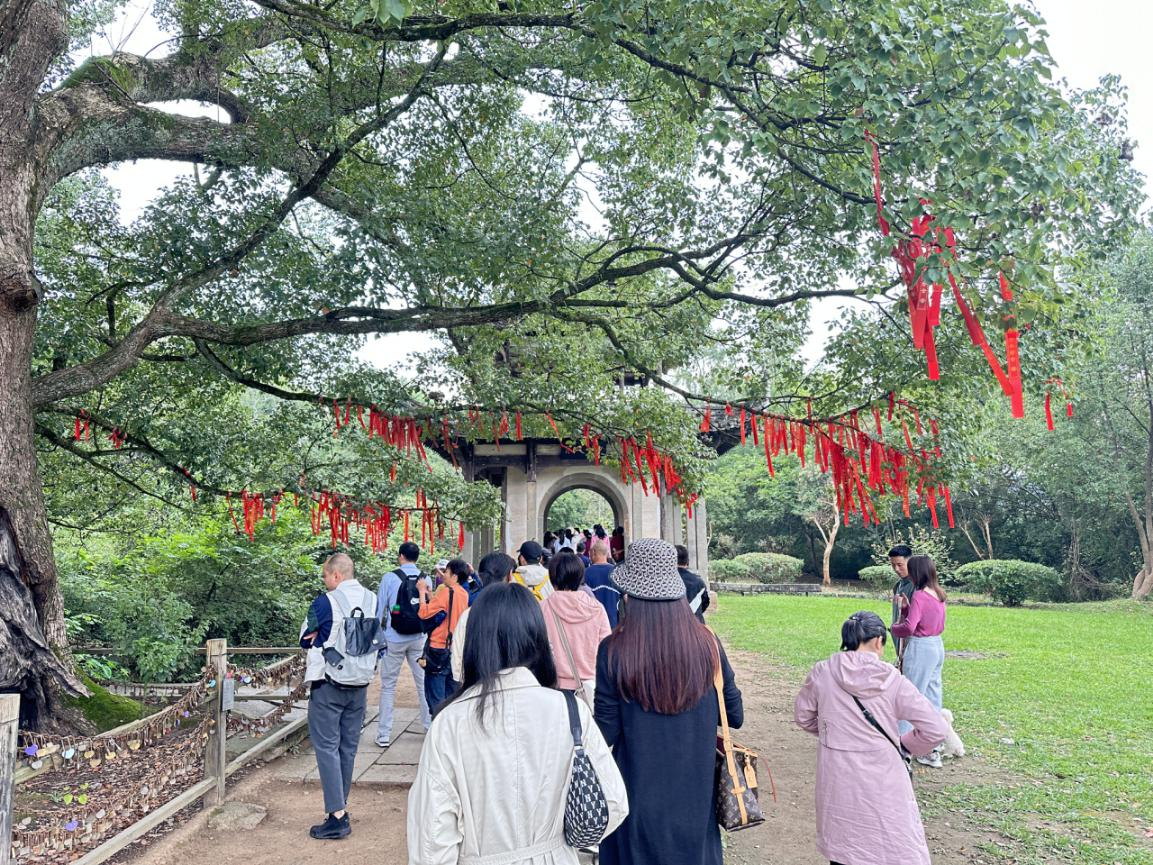 小勐拉99厅(中国游) - 官方网站