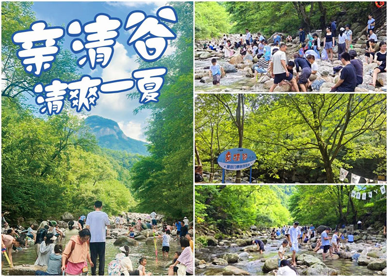 小勐拉99厅(中国游) - 官方网站