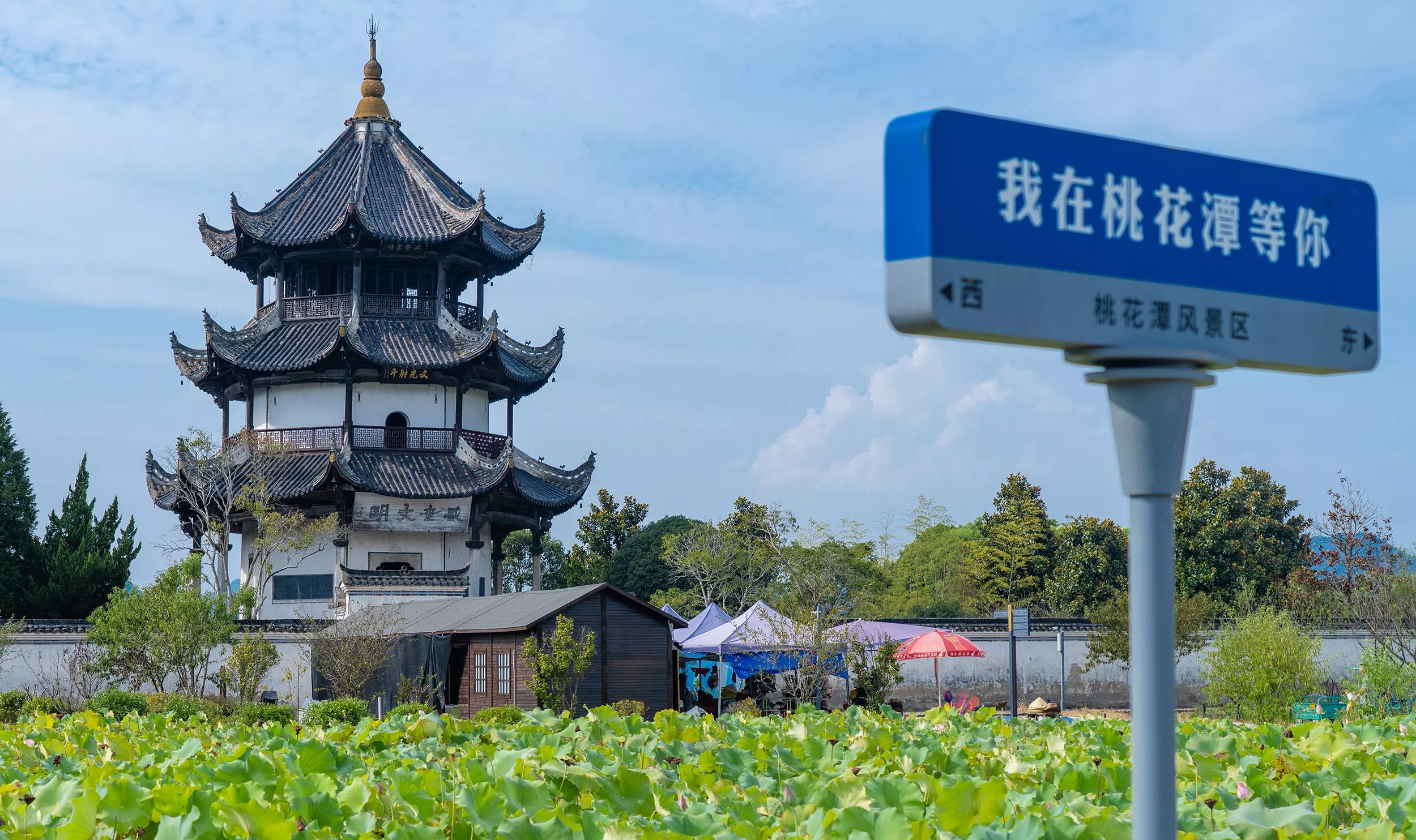 小勐拉99厅(中国游) - 官方网站